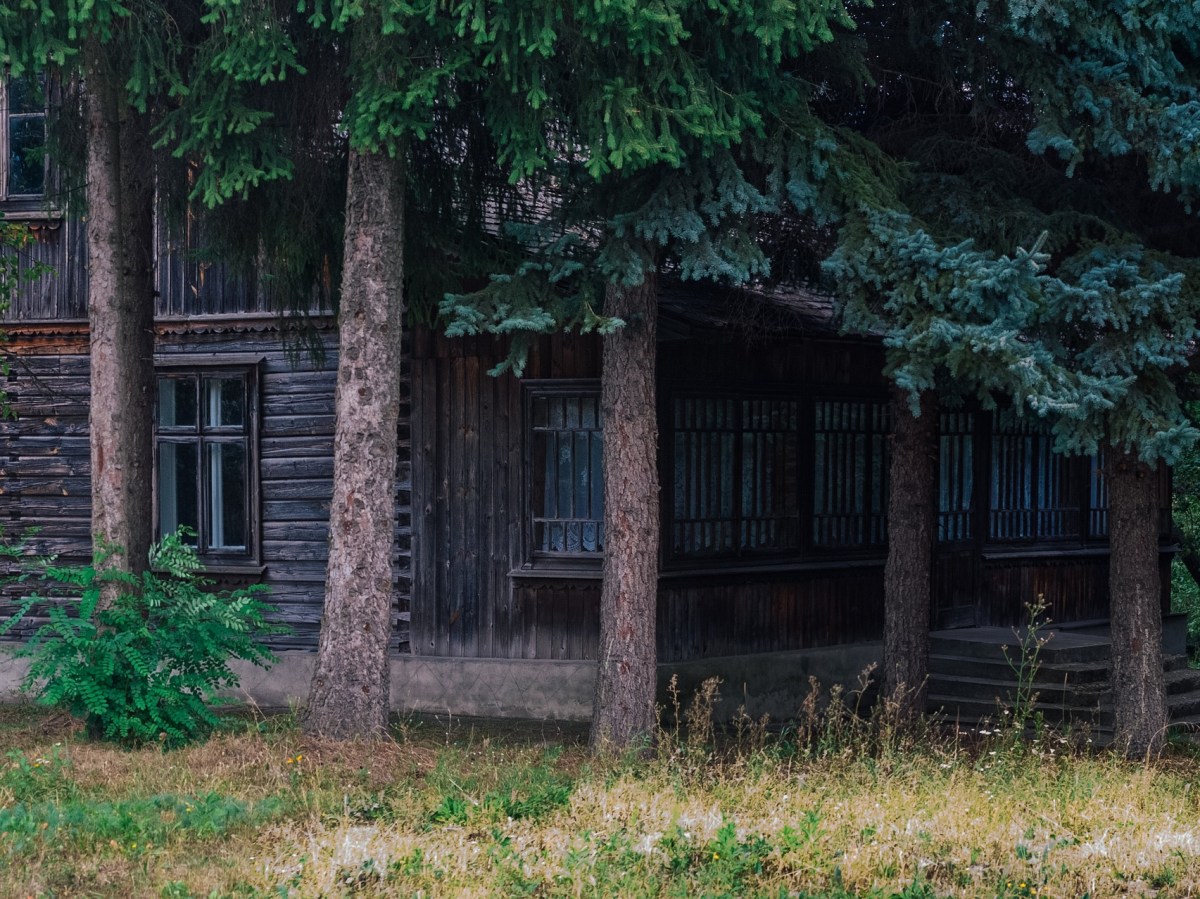 Une ombre dans le&nbsp;jour