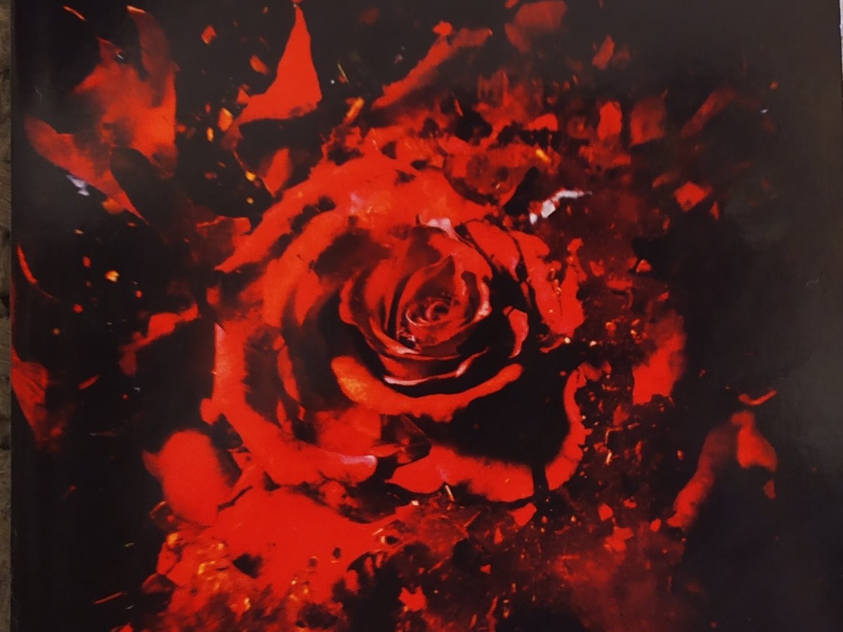 Stefan Zweig, Lettre d&rsquo;une&nbsp;inconnue